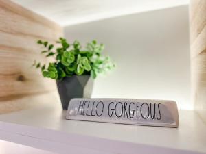 Vibrant Oasis with the best view + Fast WiFi