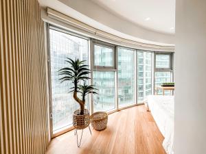 Vibrant Oasis with the best view + Fast WiFi