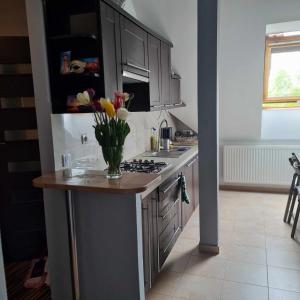 APARTAMENT WAKACYJNY U LENKI
