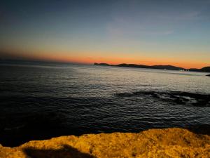 Picasso Art Room Studio Apartment img65