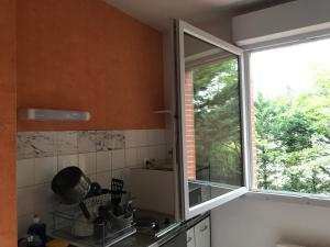 Appartements Appartement Toulouse Jardin St Martin : photos des chambres