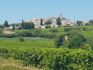 Villas Villa provencale dans Parc du Luberon : Villa