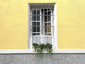 Suite 9, Parma Centro