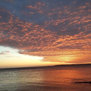 Appartements La suite appartement plages et centre ville a pied : photos des chambres