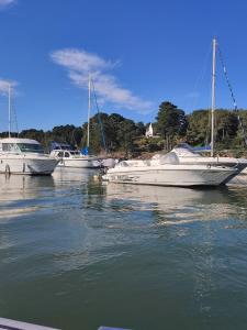 Appartements La suite appartement plages et centre ville a pied : photos des chambres