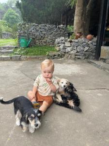 Eco Historic House & Ha Giang Loop