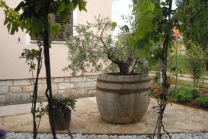 Mon Perin Castrum - Studio Apartment Adriano