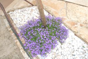 Mon Perin Castrum - Studio Apartment Adriano