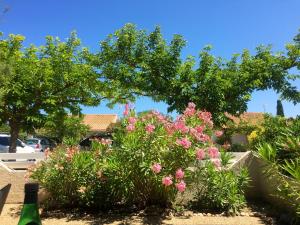 Charmante maison familiale à Gruissan avec terrasse ensoleillée