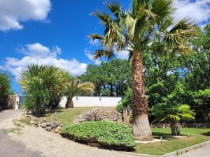 Maisons de vacances Villa Les palmiers en Provence : photos des chambres