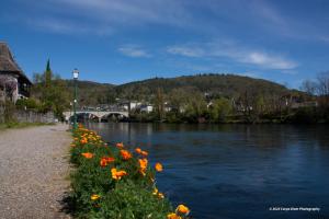 B&B / Chambres d'hotes Carpe Diem Bed and Breakfast : photos des chambres