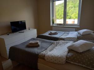 Apartament Górski