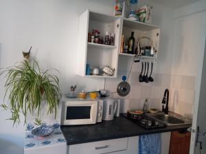 Appartements Tiny Studio Ariege Pyrenees : Appartement 1 Chambre
