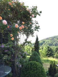 Top ausgestattete Wohnung in Traumlage mit grandioser Aussicht