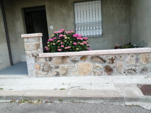 L Agrifoglio di Rita Loddo img28