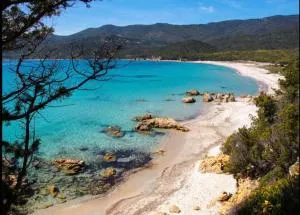 BEAU T2 - PISCINE CHAUFFEE - Serra-di-Ferro