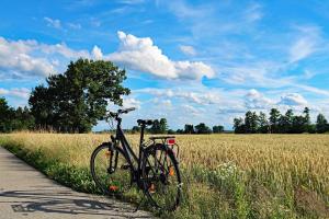 Maisons de vacances Gite les Coquelicots : photos des chambres