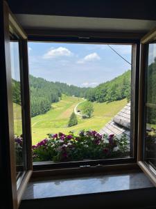 Apartment Hochsteinalm