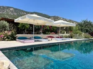 Beso Patara - Karadere