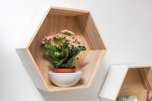 Isola Beachside Apartment