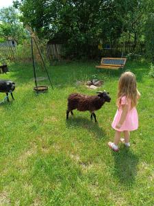 Gospodarstwo Agroturystyczne na Mazurach