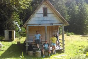 Domaćinstvo Pešića