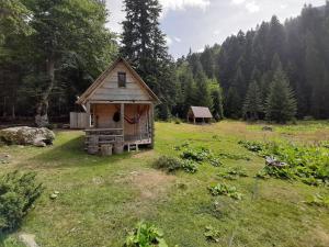 Domaćinstvo Pešića