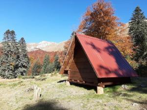 Domaćinstvo Pešića