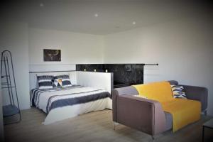 Appartements Les Alpilles - Yellow Studio avec Jacuzzi : photos des chambres