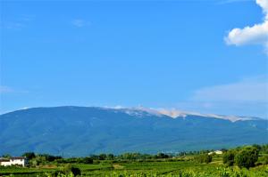 vacances en provence cyprès