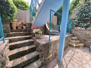 Little garden 