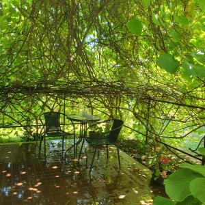 Sophies Guesthouse