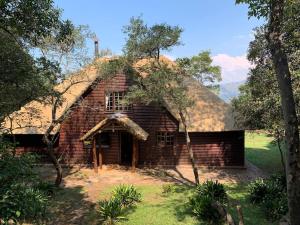 Schoemanskloof, Mpumalanga - Clancy Forest Lodge