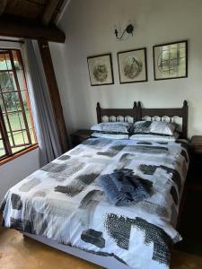 Schoemanskloof, Mpumalanga - Clancy Forest Lodge