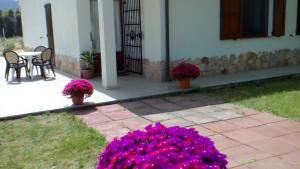 B&B Le Vele Teulada img6