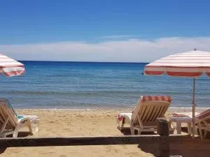 Appartement T3 climatisé avec jardin et terrasse à 200m de la plage de Cavalaire - FR-1-100-249 - Pardigon