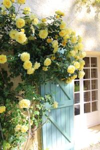 Appartements Domaine du Bourdil au pays Cathare : photos des chambres