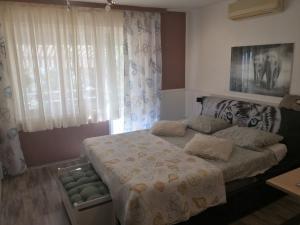 Apartment Serpa 