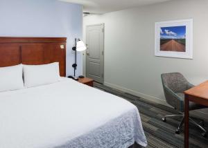 King Room with Shower - Non-Smoking room in Hampton Inn & Suites Cedar Rapids