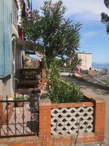 Apartment Serpa 