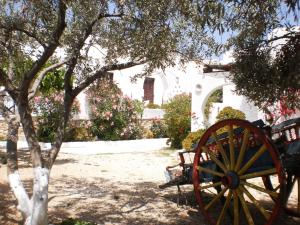 Bungalows Svoronos Paros Greece