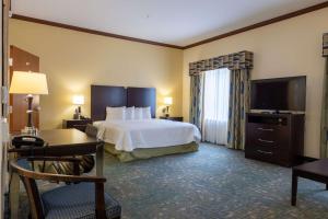 King Studio Suite - Non-Smoking room in Hampton Inn Alice