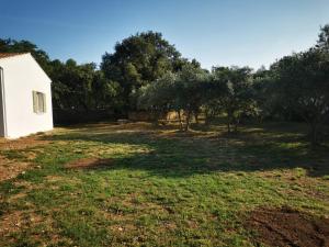 Maisons de vacances Le Fiacre entre chenes et oliviers : photos des chambres