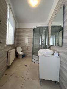 Bucharest Center Villa by ACME RENT