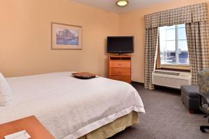 King Room with King Bed - Non-Smoking room in Hampton Inn Grand Island