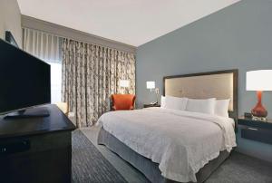 King Room with Sofa Bed and Study - Non-Smoking room in Hampton Inn Greenville/Woodruff Road