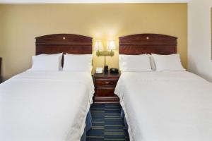 Room with Two Queen Beds - Non-Smoking room in Hampton Inn Hinesville