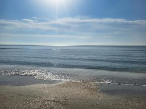 Cazare Mamaia
