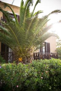 Vagia Traditional Hotel Aegina Greece