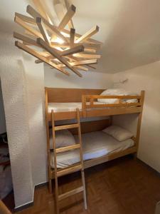 Appartements Appartement pied des pistes Champagny-en-Vanoise : photos des chambres